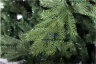 Искусственная елка Royal Christmas Spitsbergen Deluxe 120см.